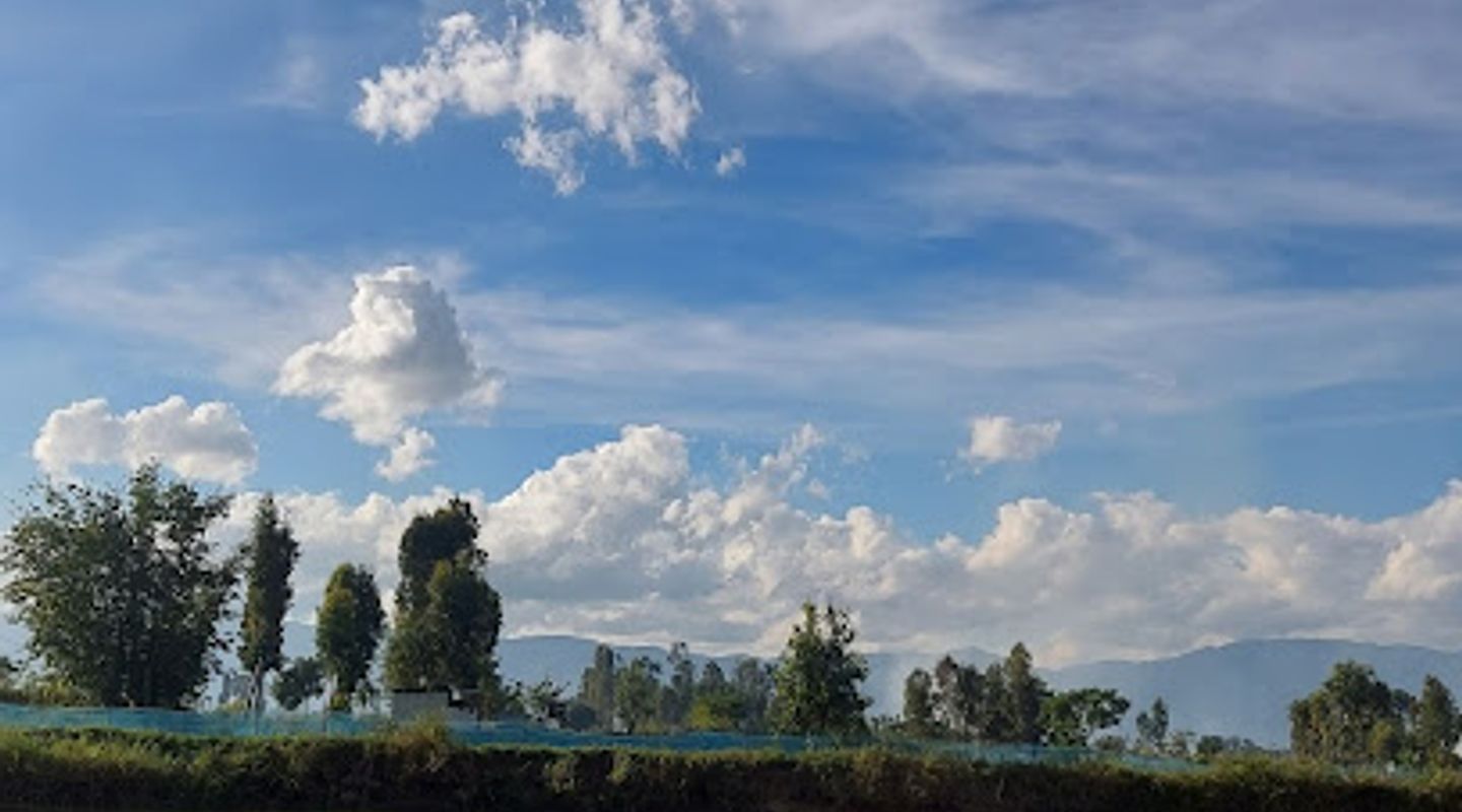 Background