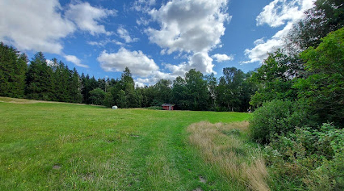 Naturstyrelsen