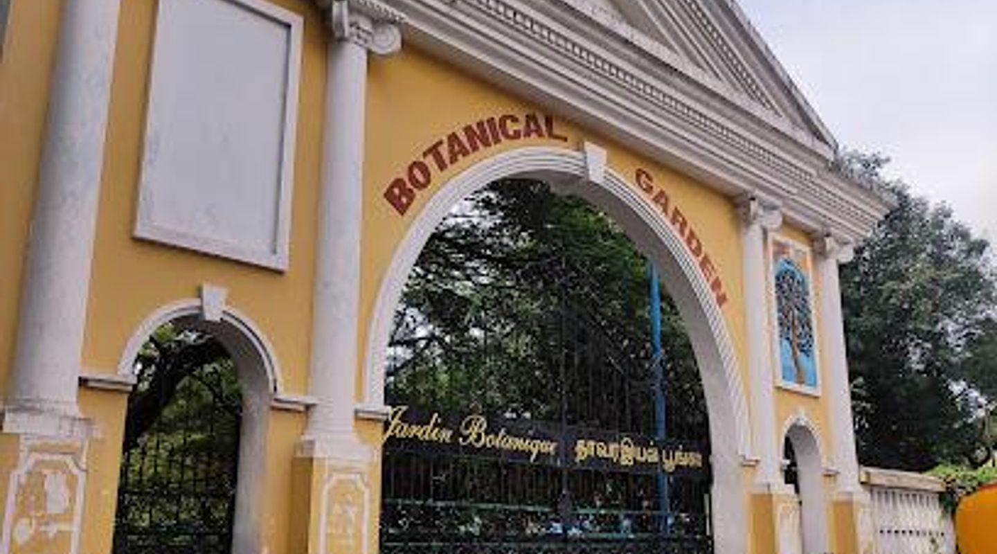 Background