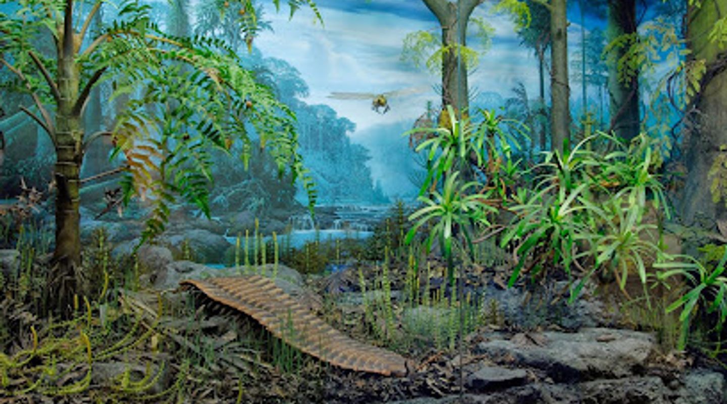 Background
