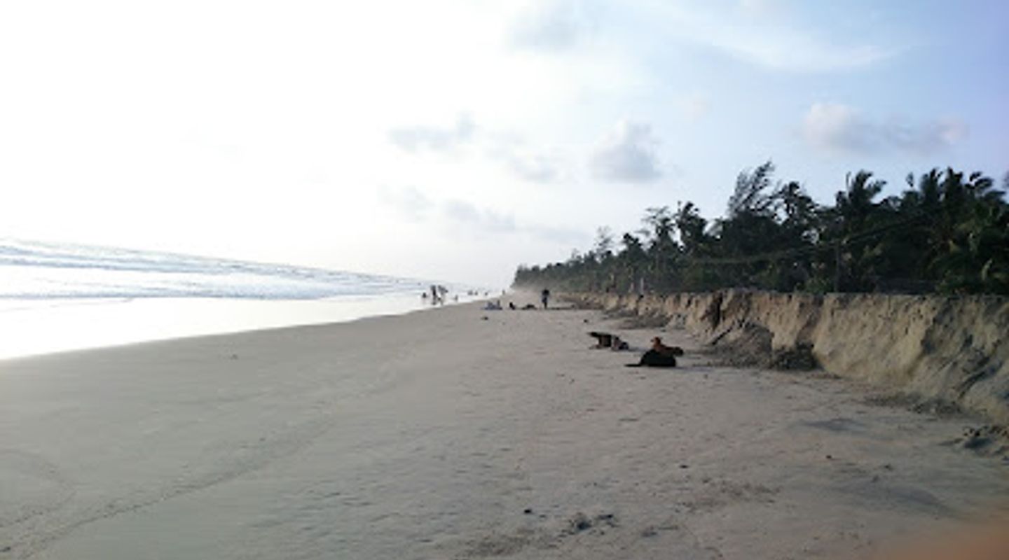 Background
