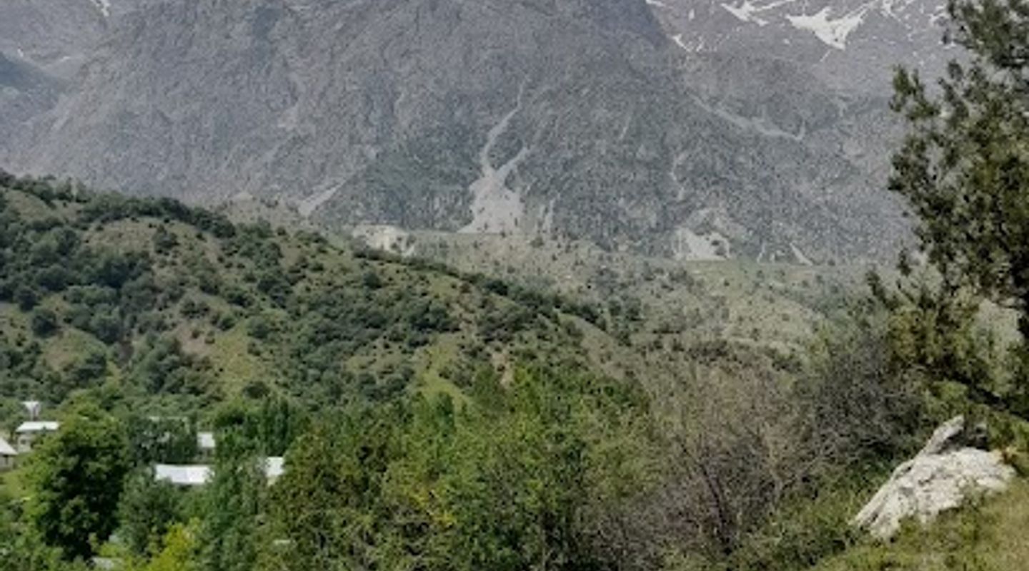 Background