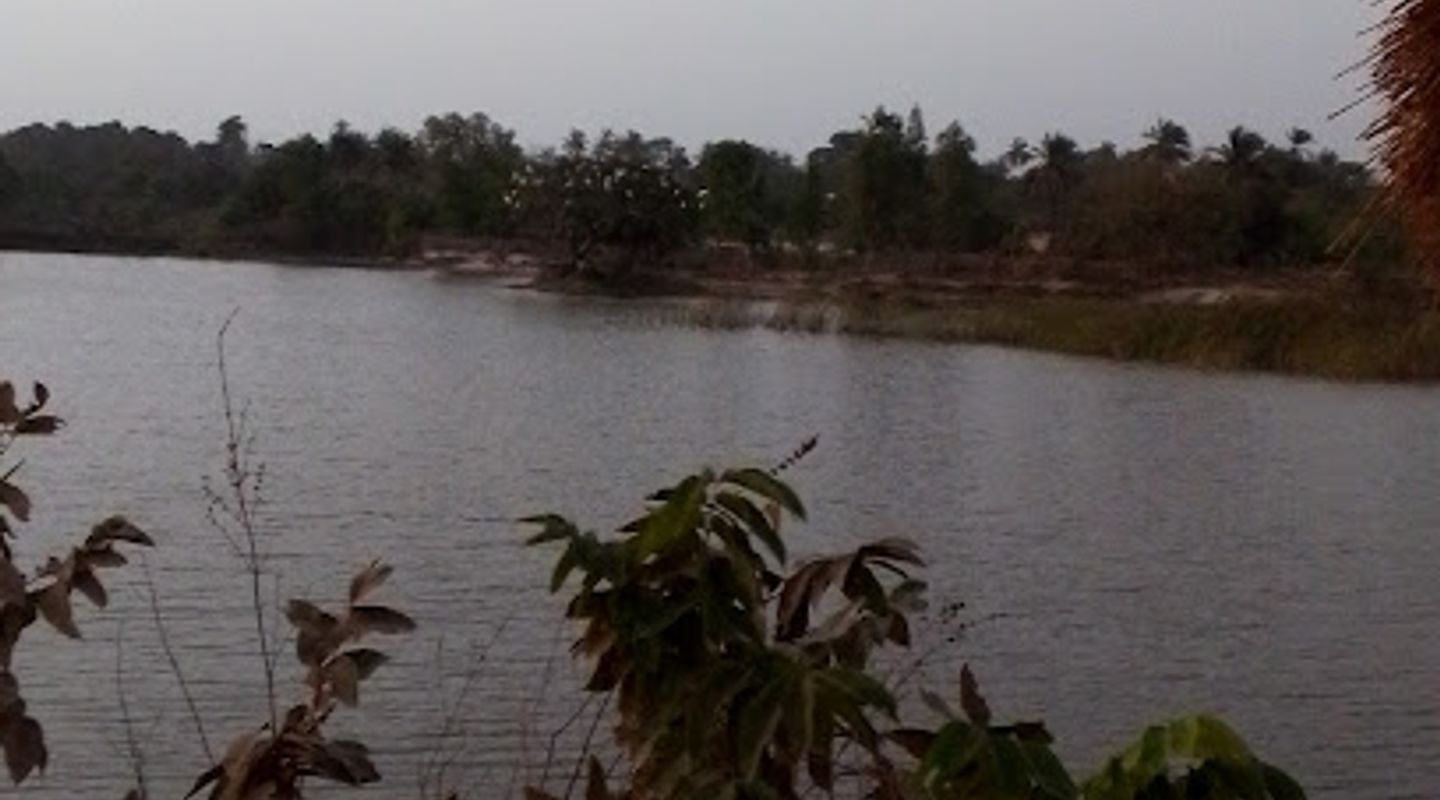 Background