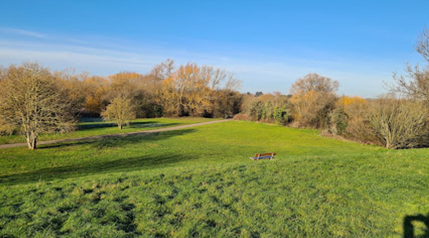 Friars Park