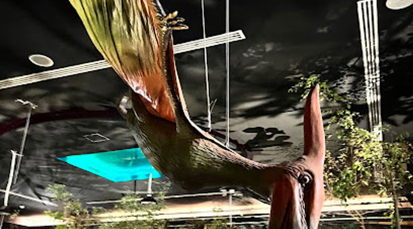 Background
