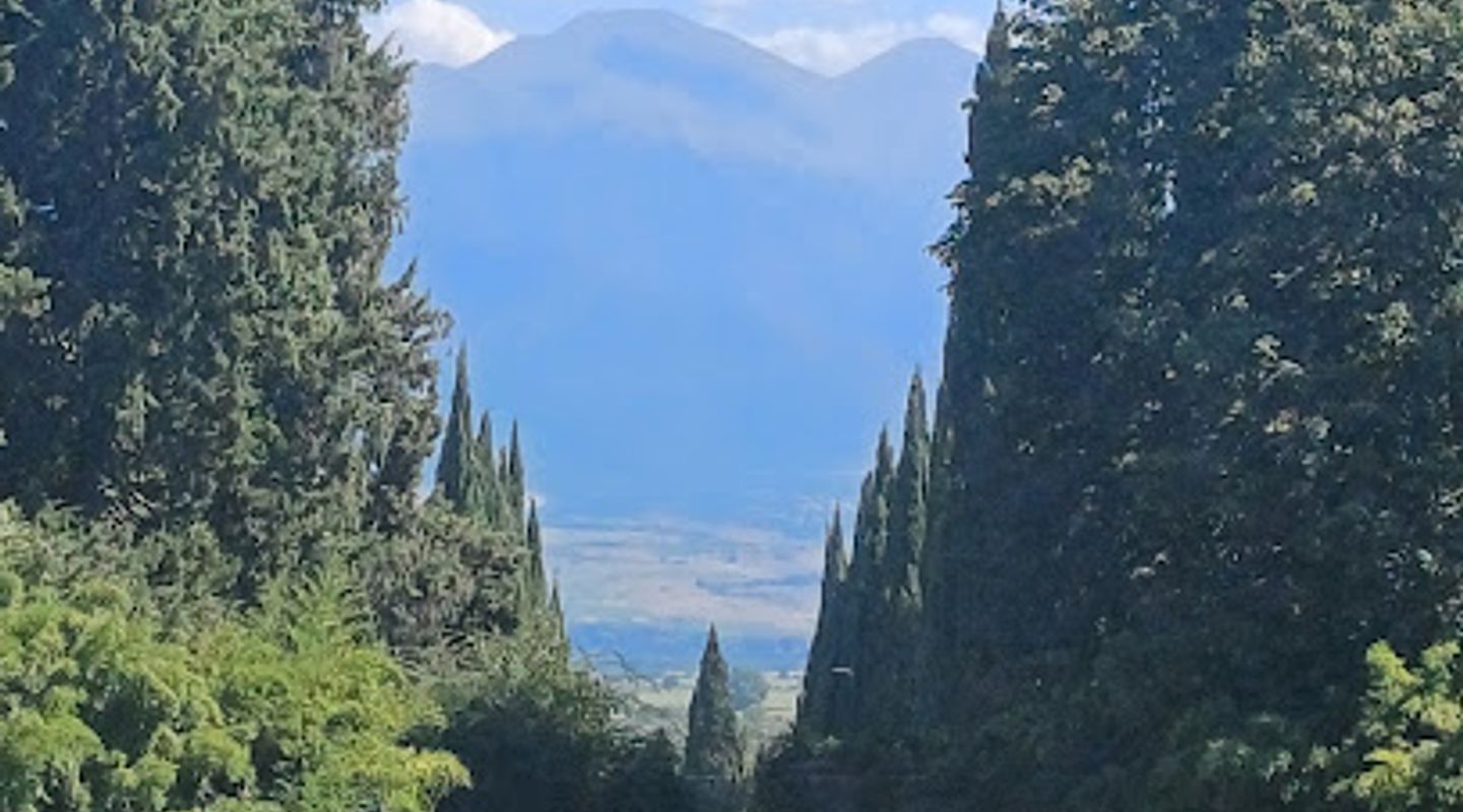 Background