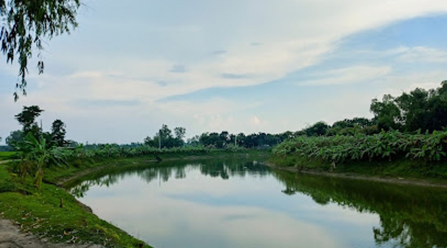 Background