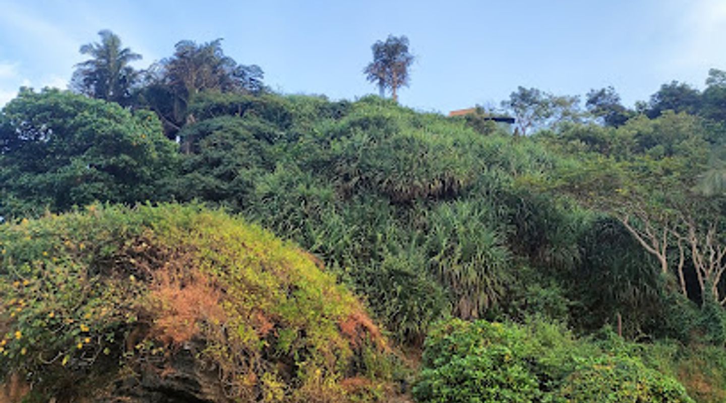 Background