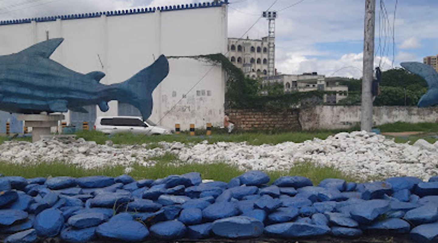 Shark Roundabout