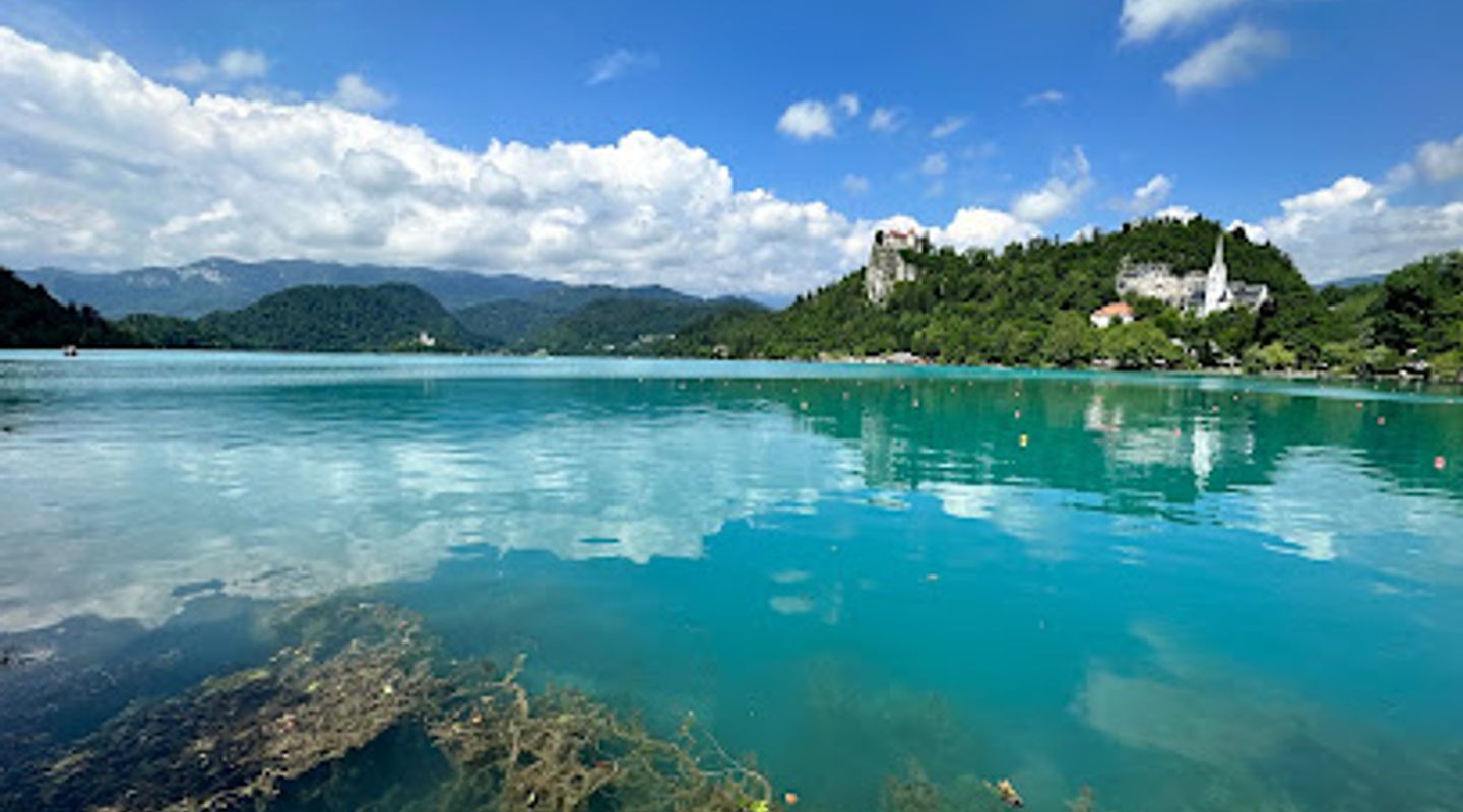 Jezero Bled