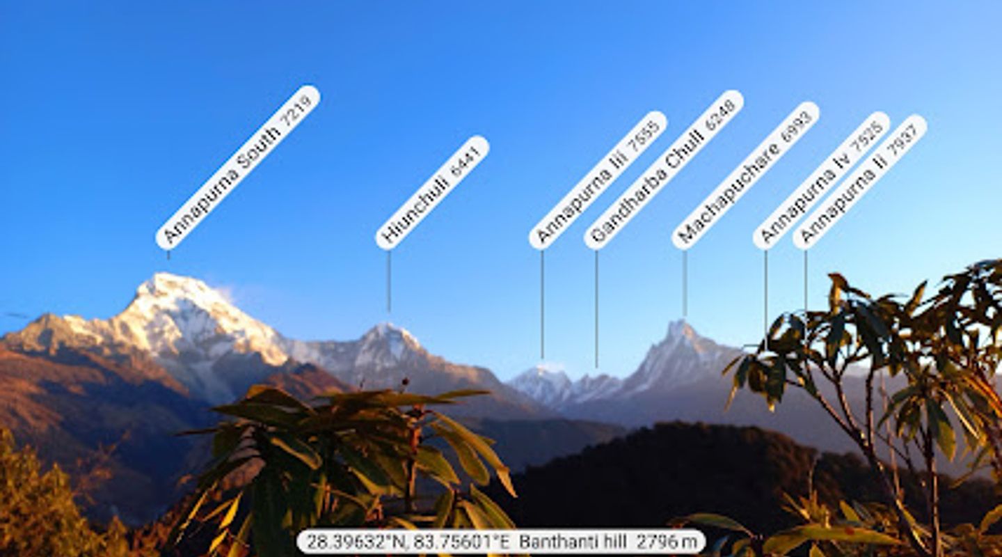 Background