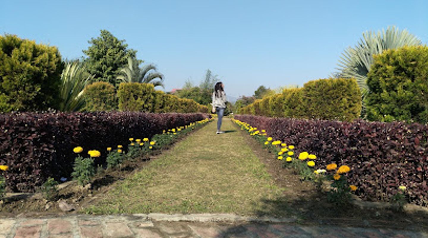 Background