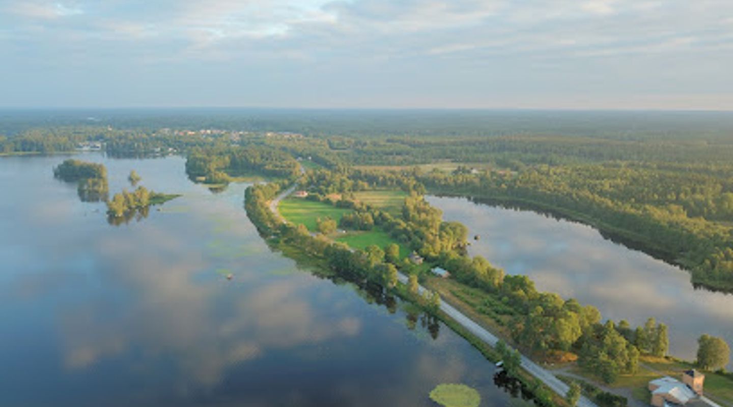 Background