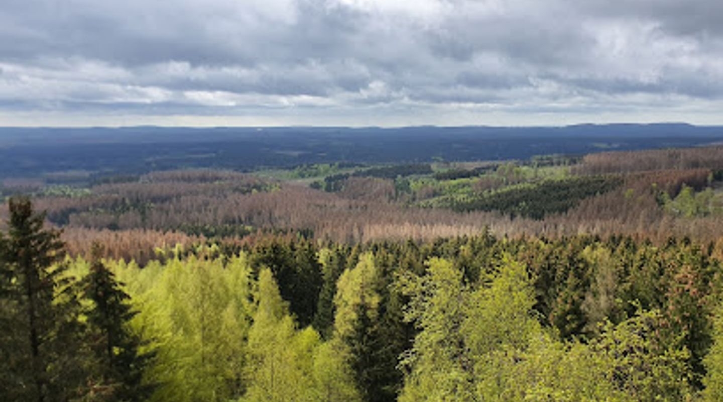 Trudenstein