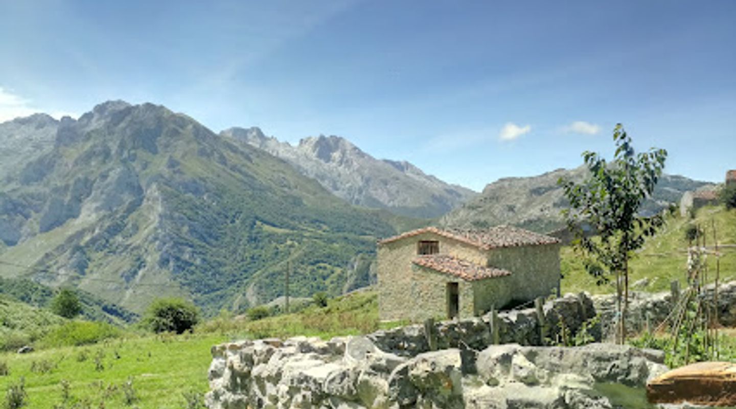 Background