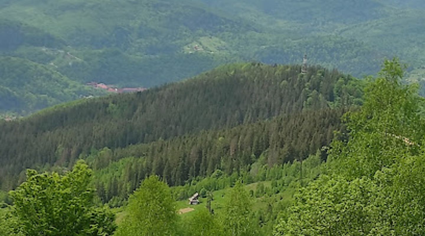Background