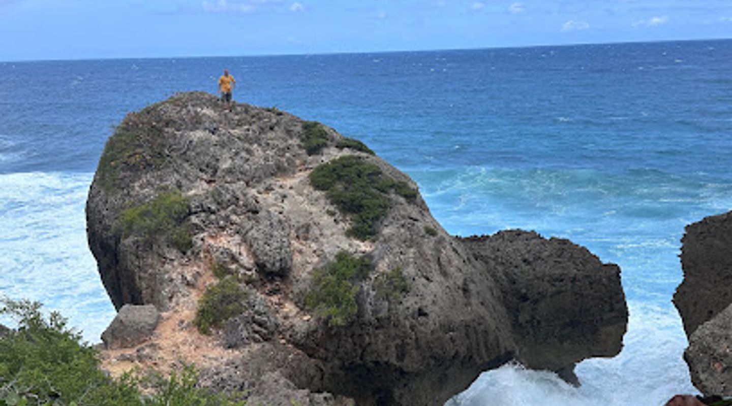 Survival Beach