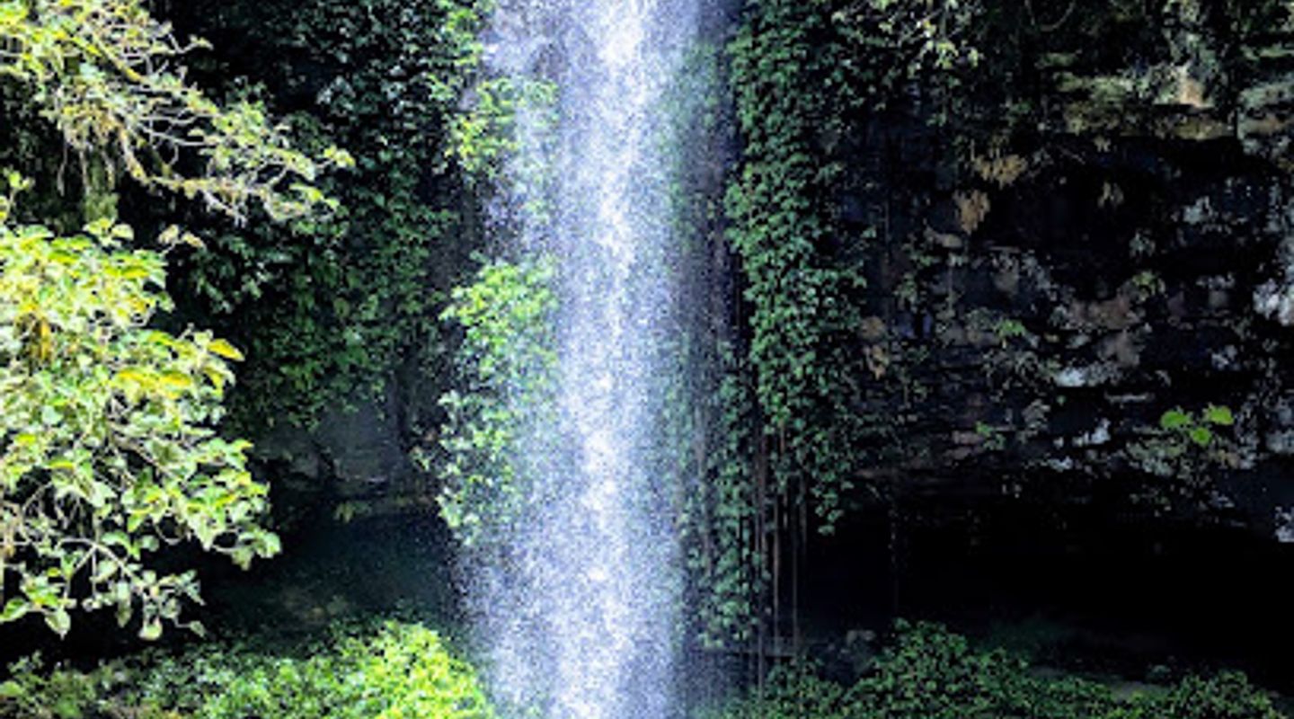 Background