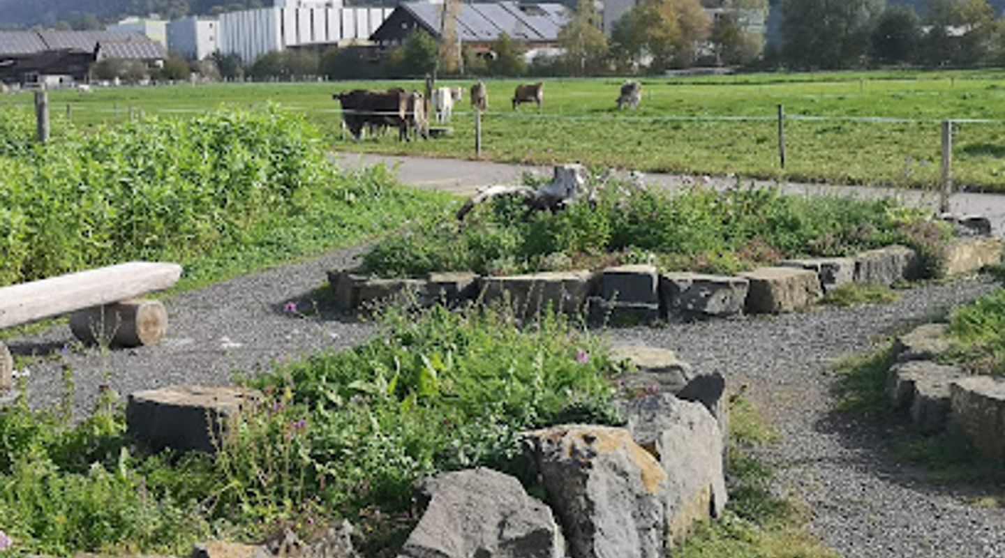 Background