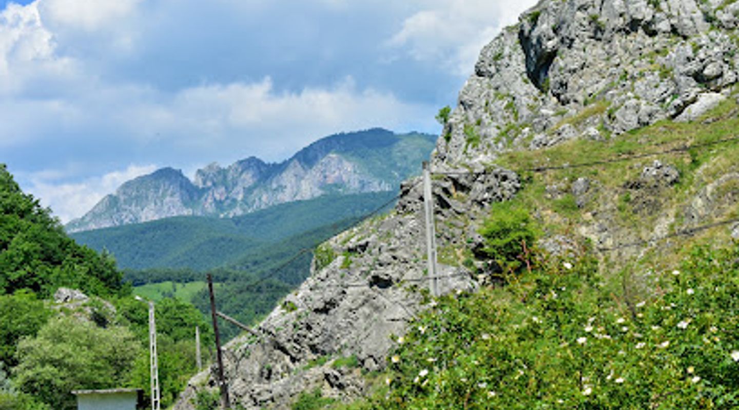Background