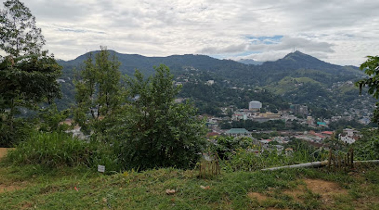 Background