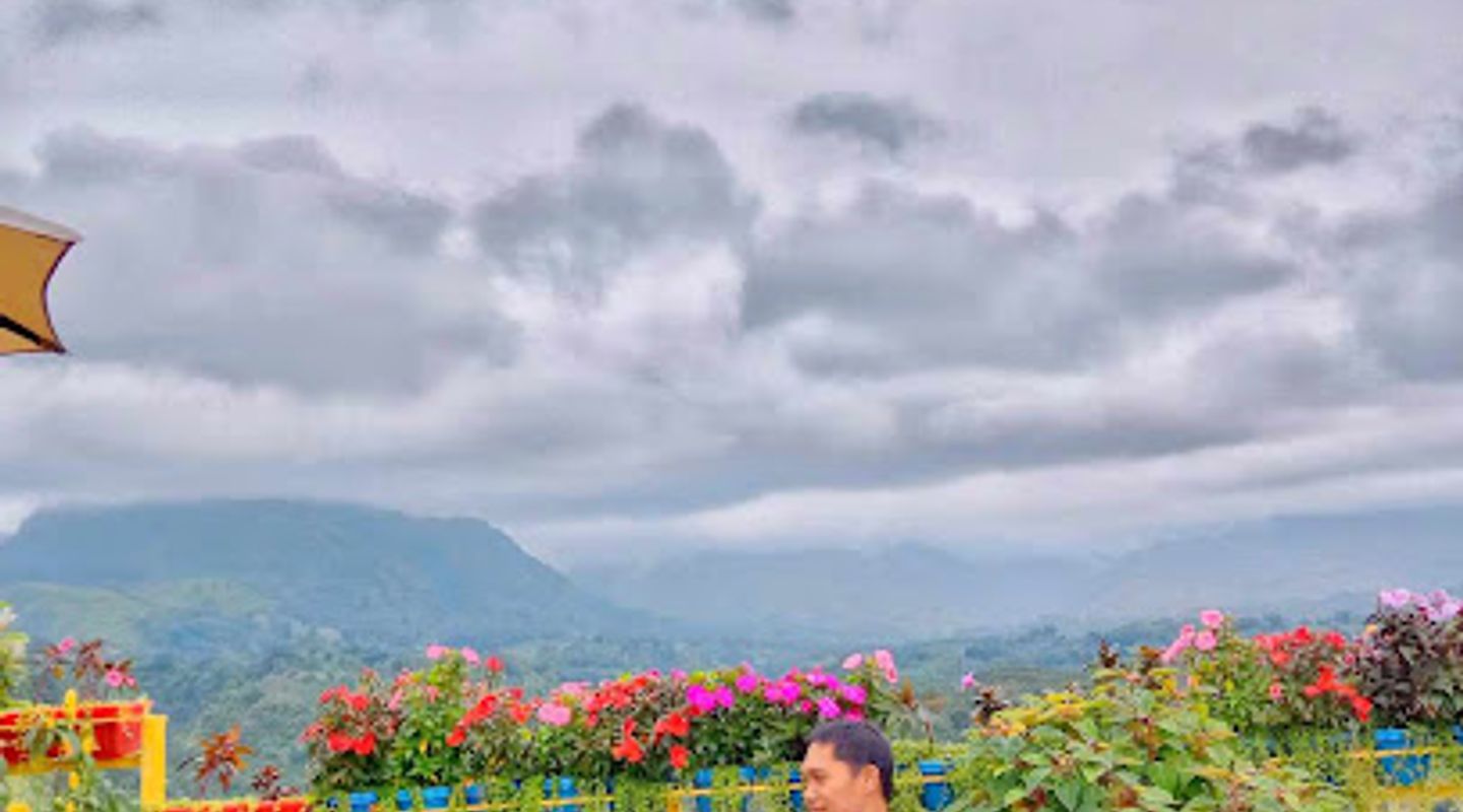 Background