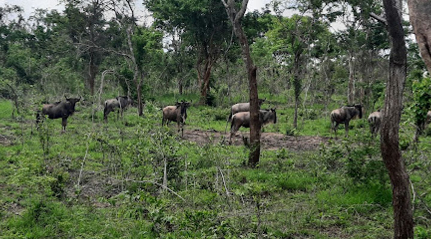 Pande Game Reserve