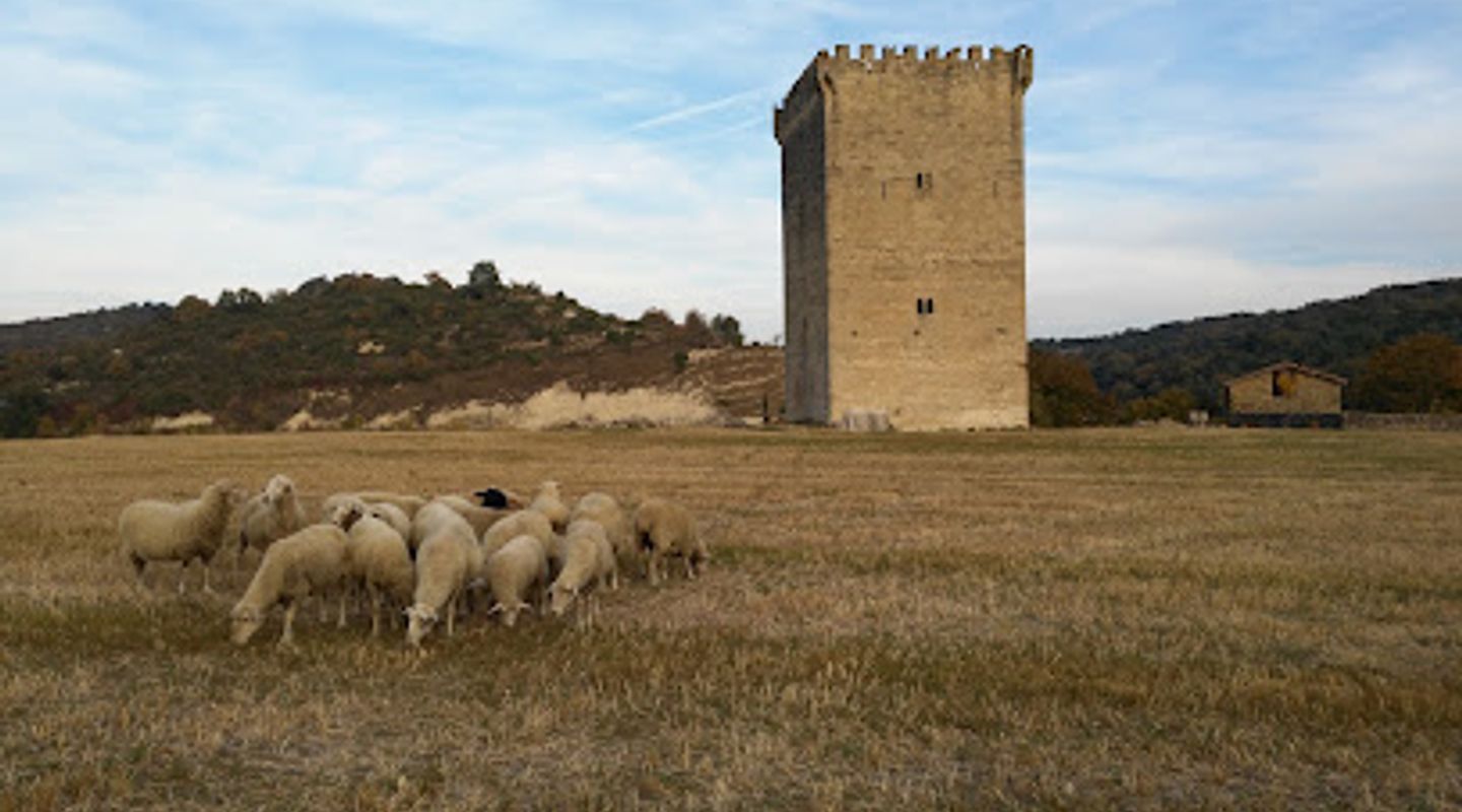 Torre de los Orgaz
