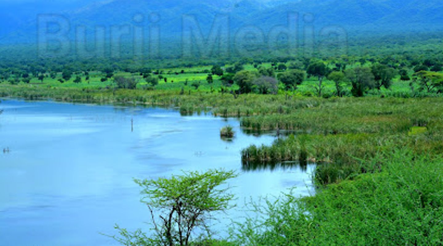 Background