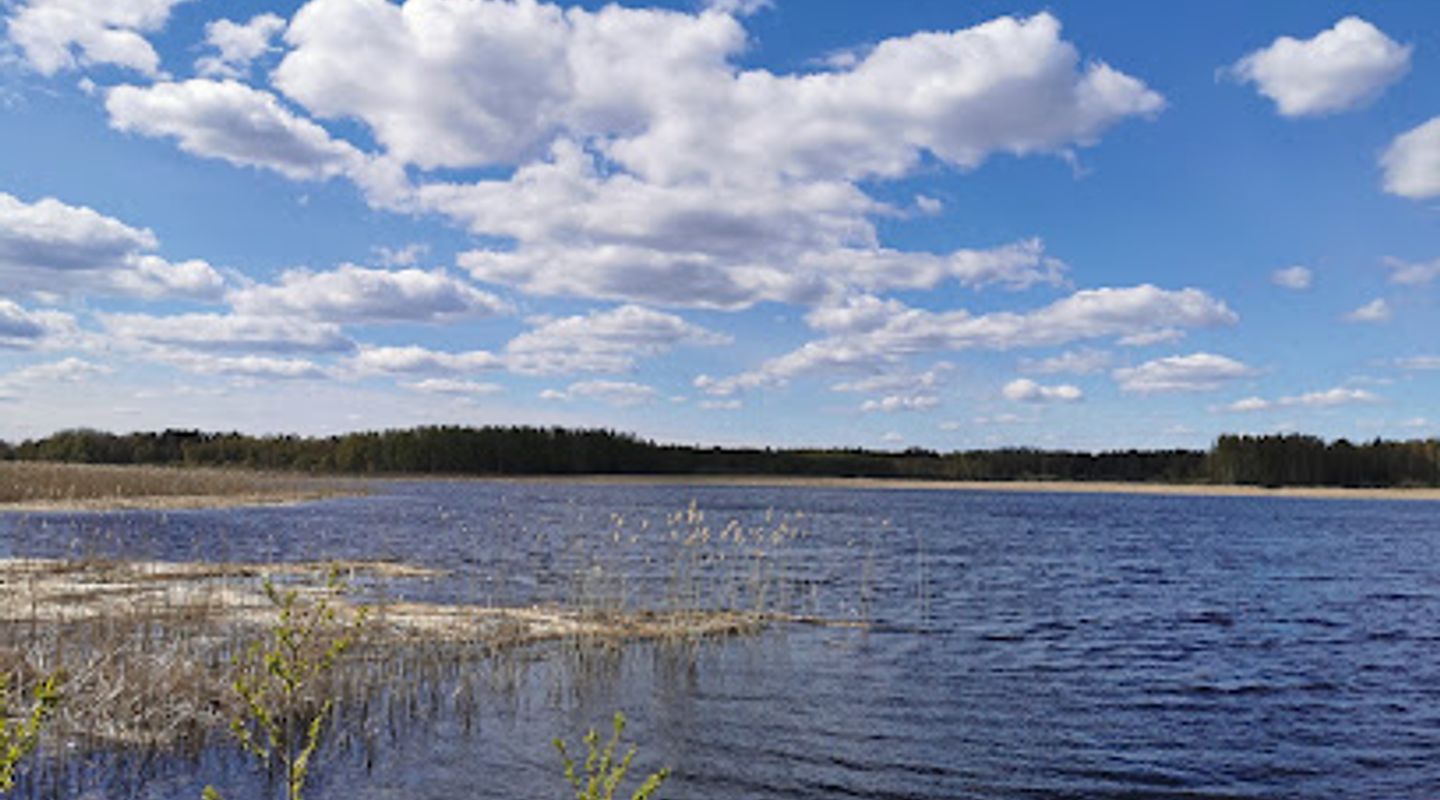 Vooremägi