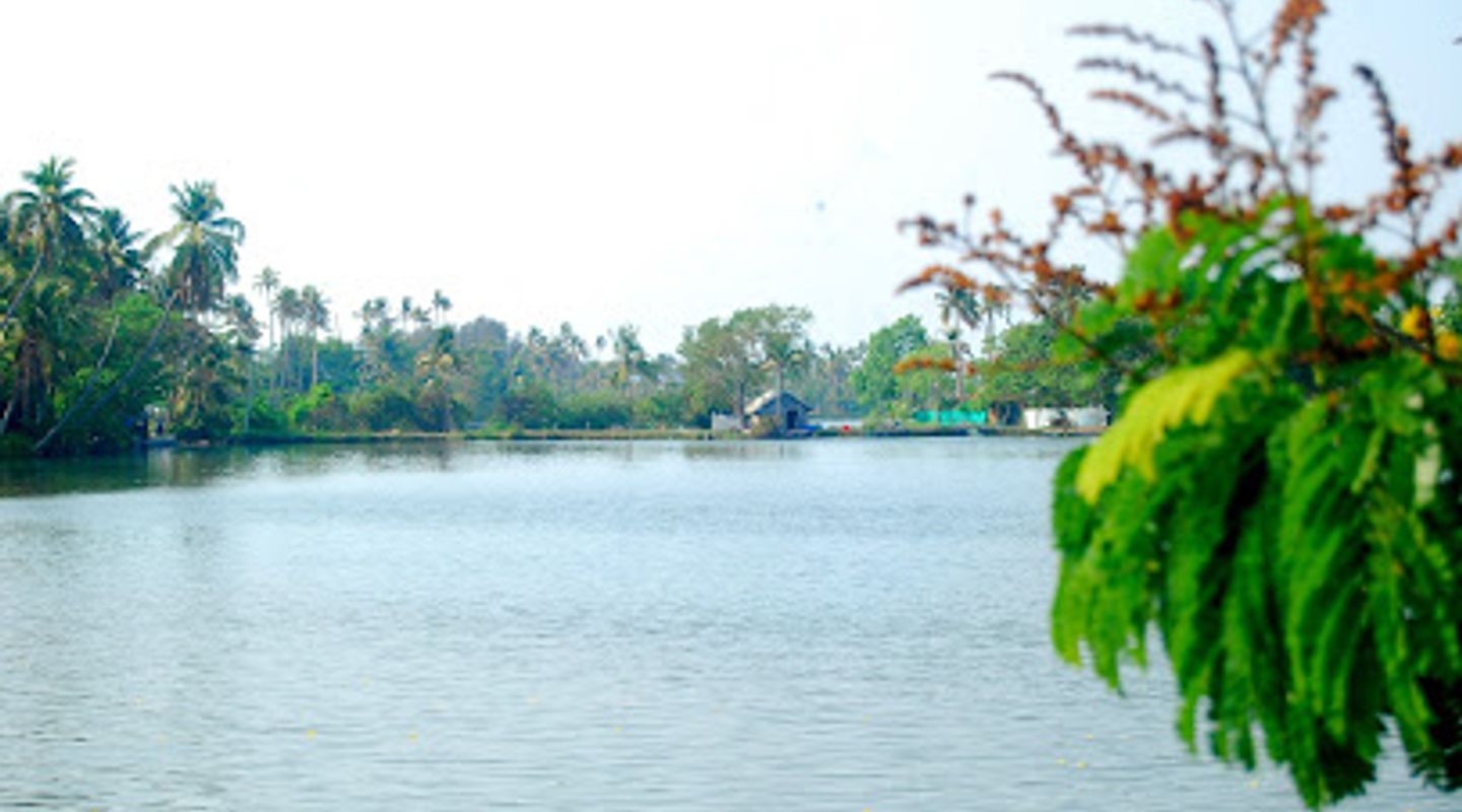 Background