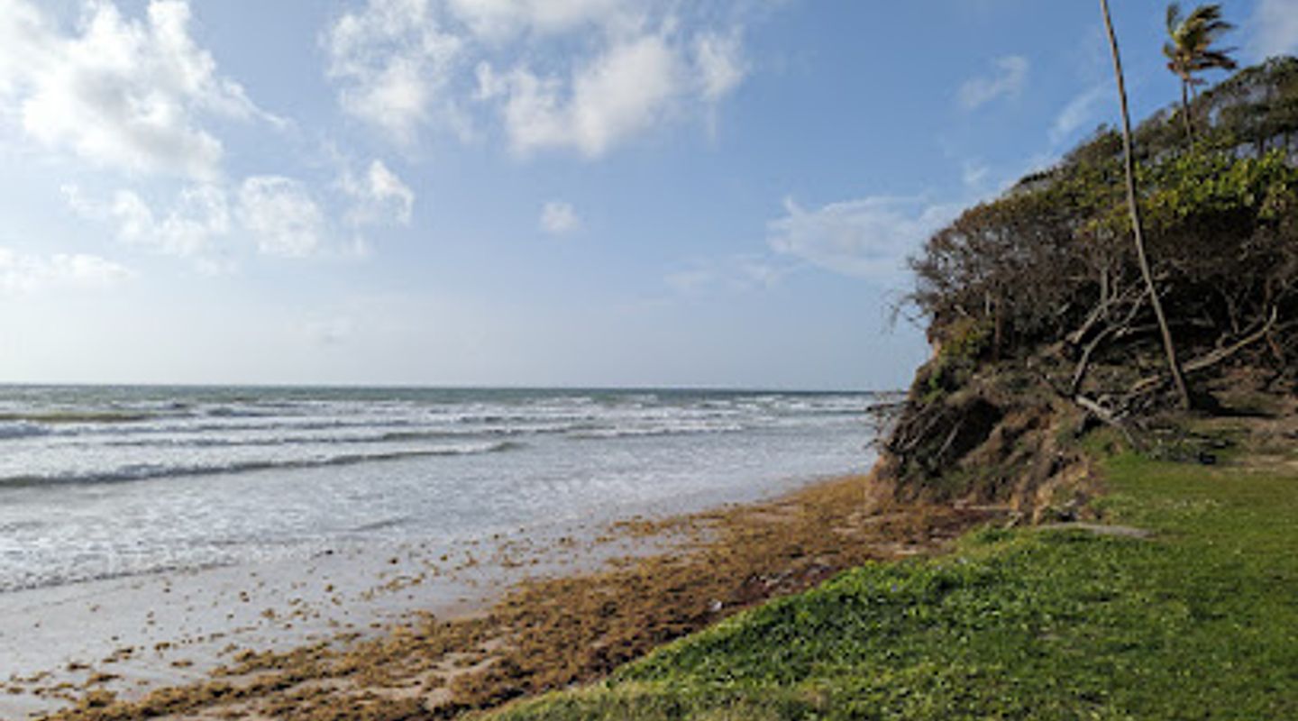 Background