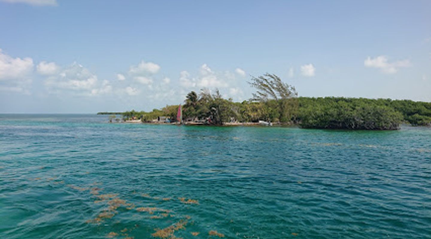 Background