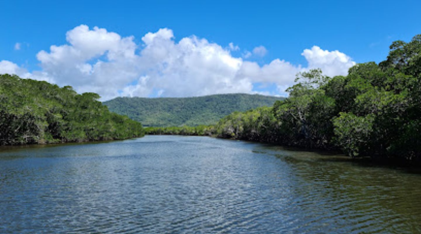 Background