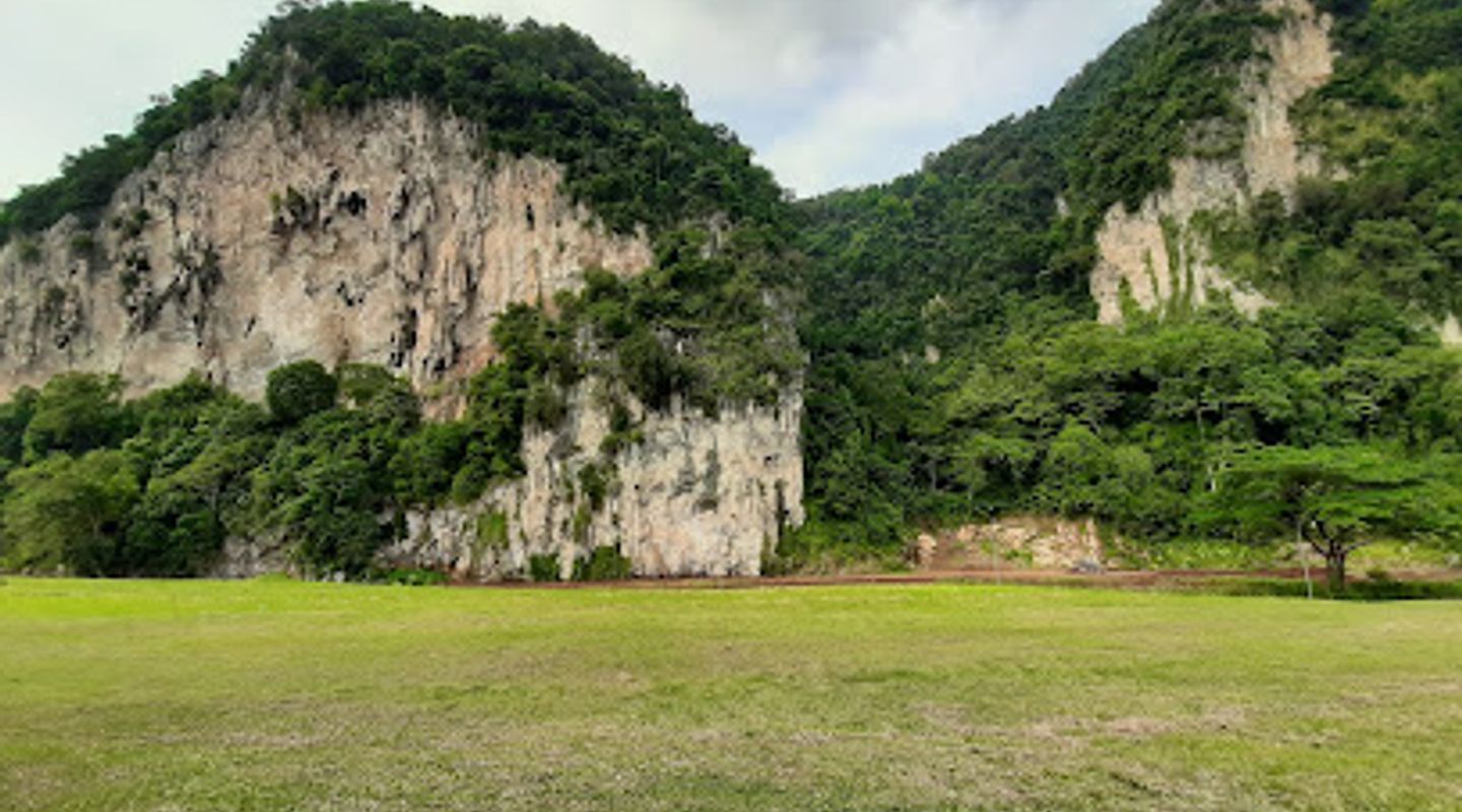 Background
