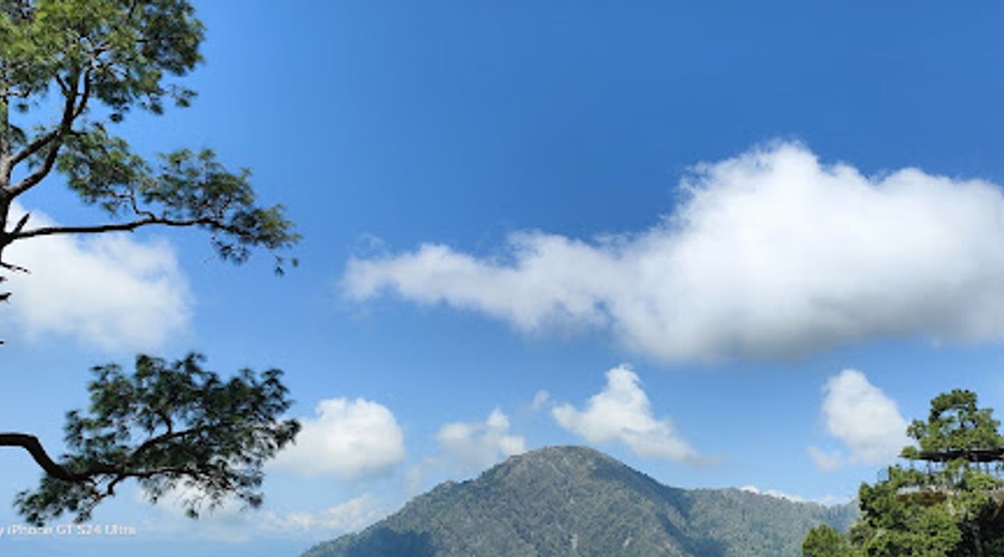 Background