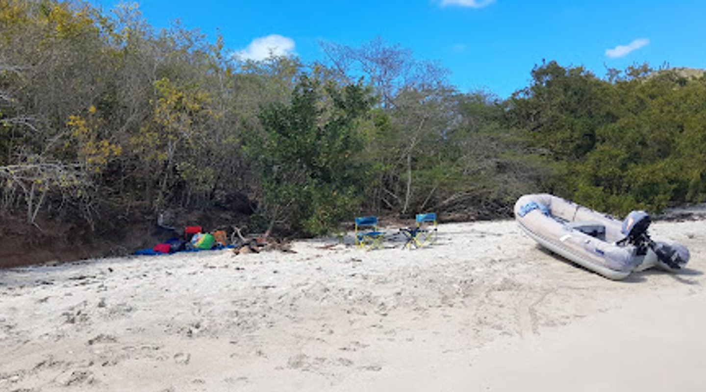 Background