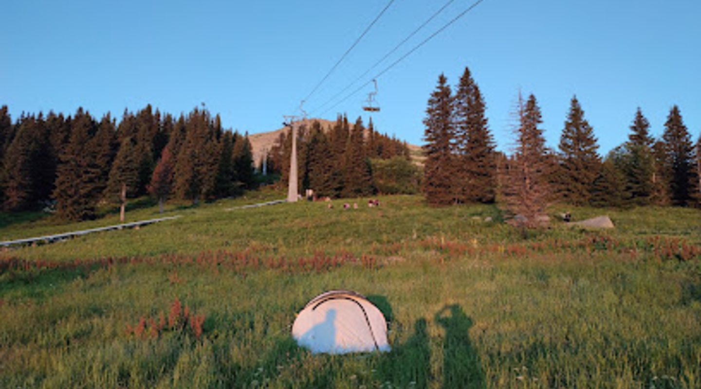 Background