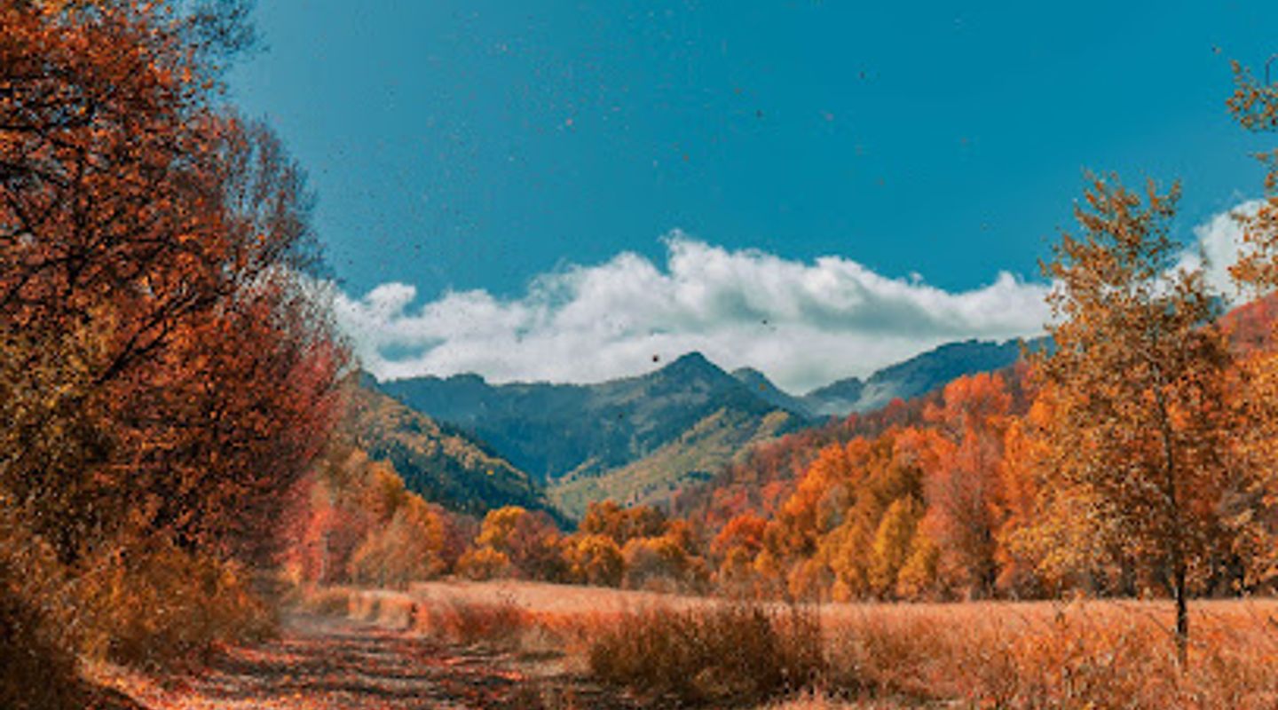 Background