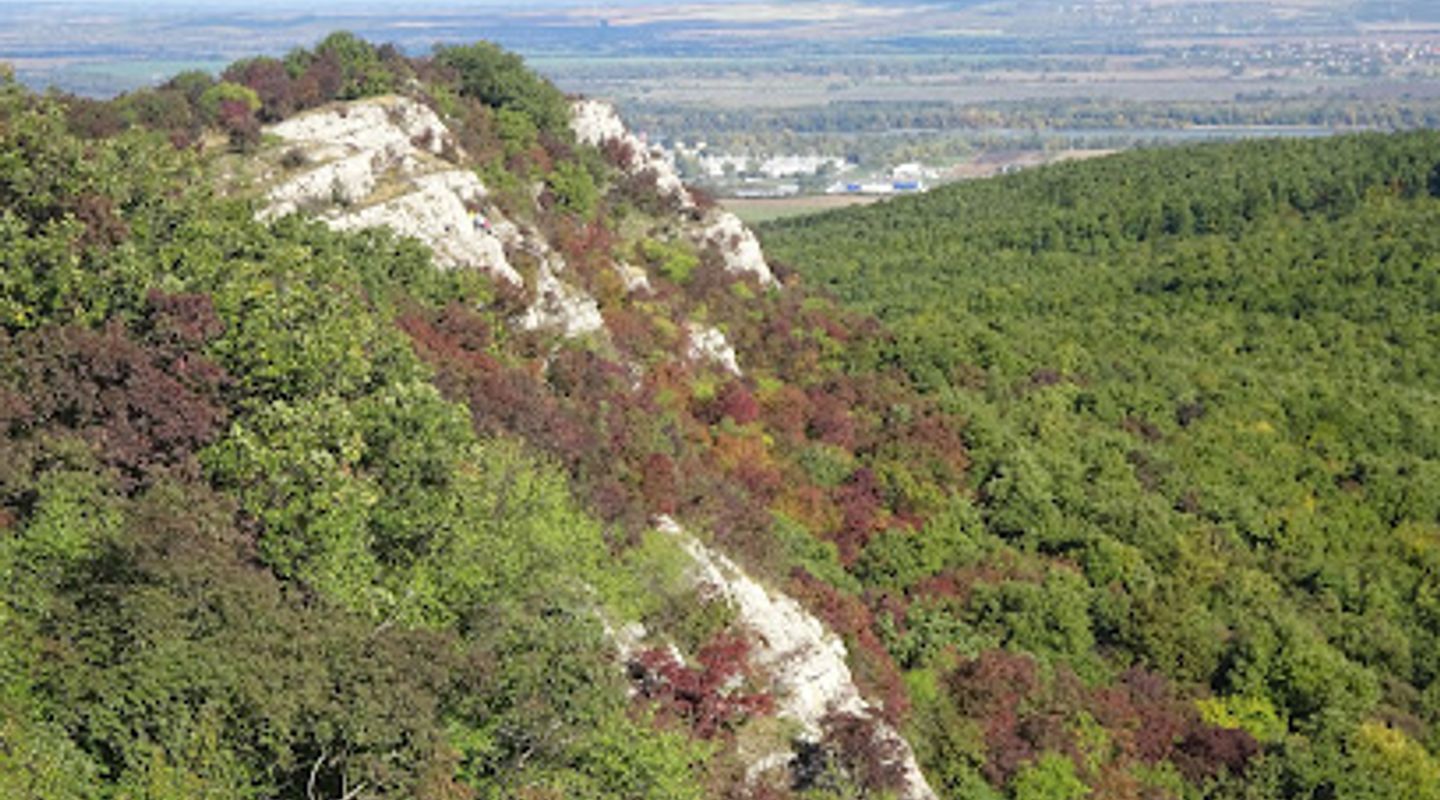 Jankovich Cave