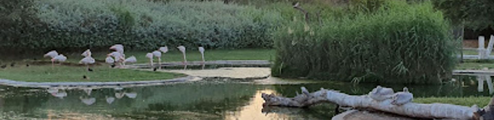 Discover the Wonders of Wasit Wetland Centre