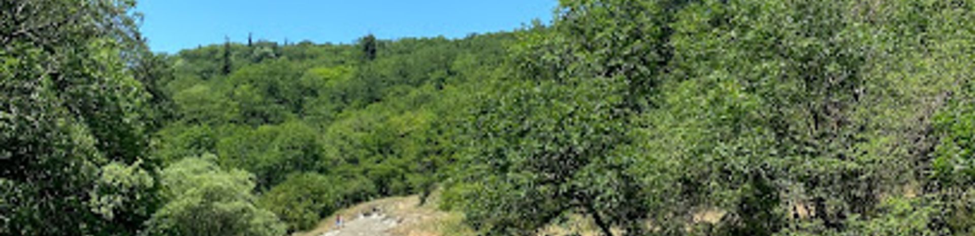 Discover the Majestic Algeti National Park