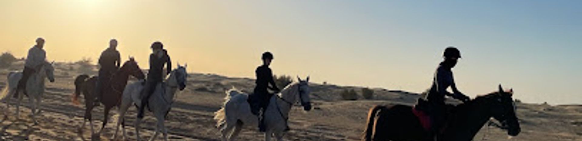 Embark on an Equestrian Adventure at Desert Hack Riding Club