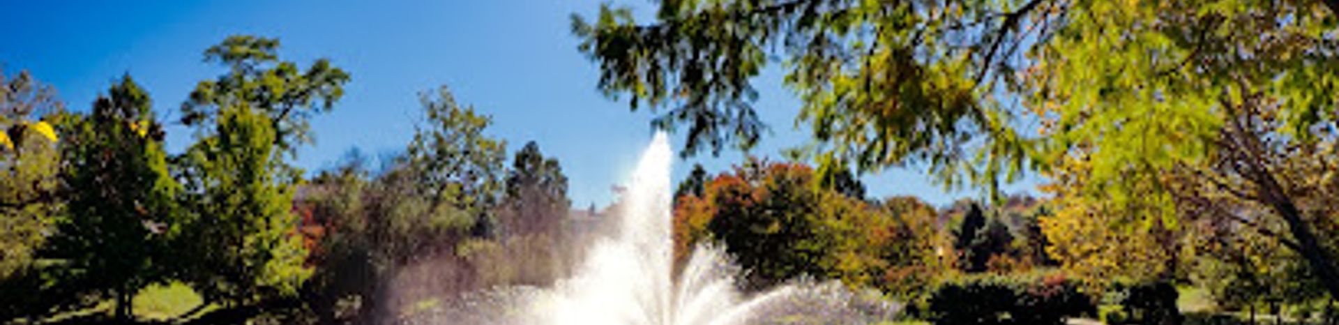 Yoctangee Park's Trails