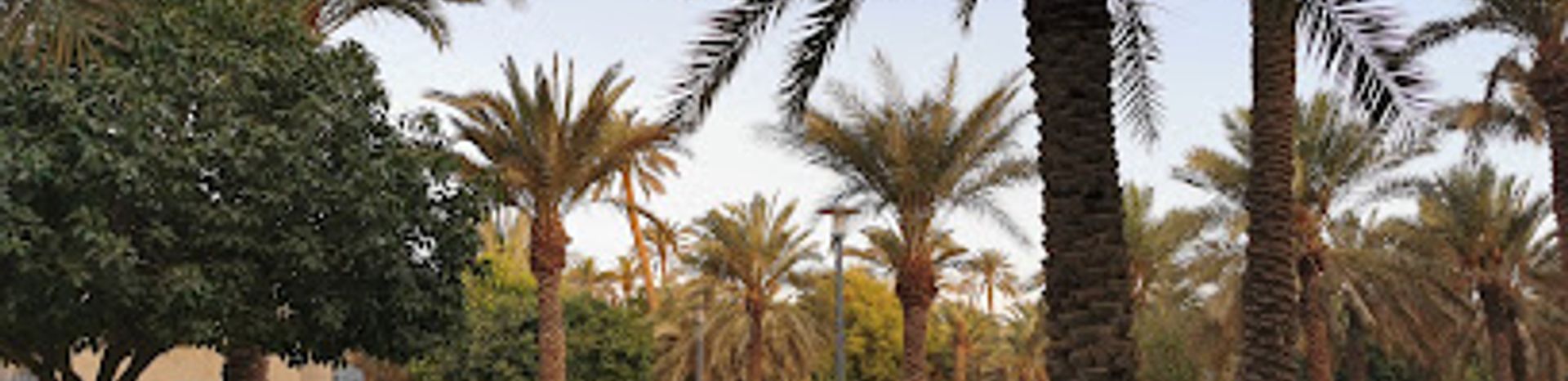 Jawzat Ad Diriyah Park