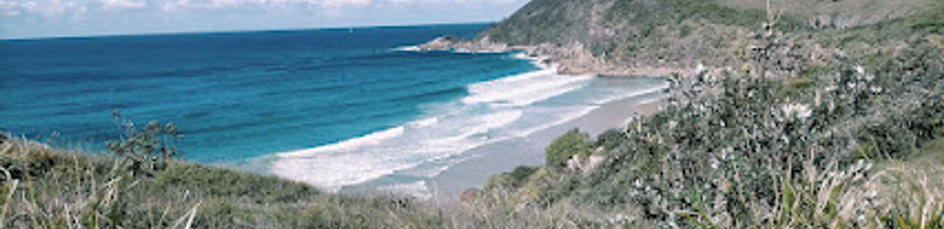 Discover the Untamed Beauty of Arakoon National Park