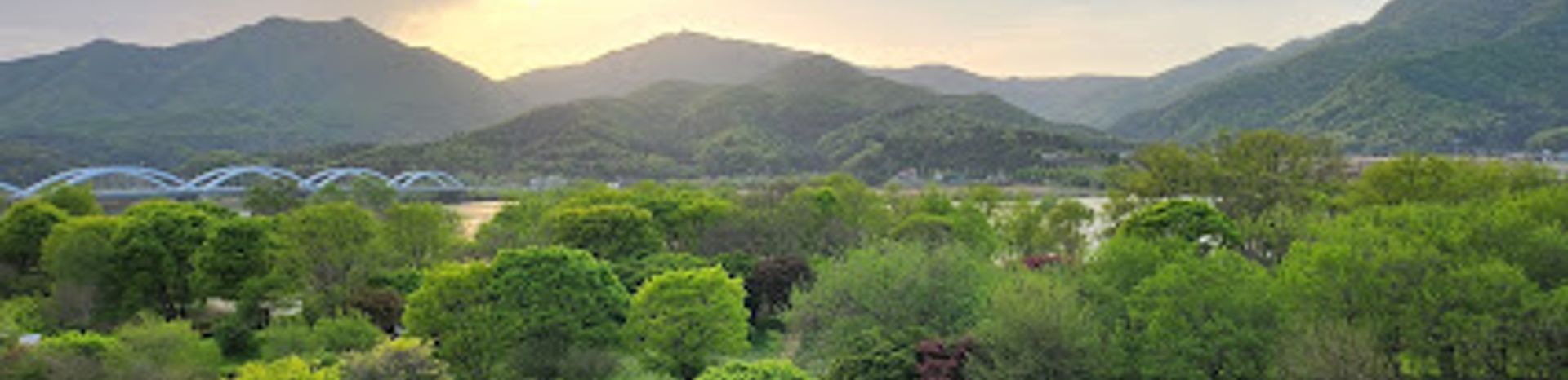 Discover the Natural Beauty of Yangsuri Ecological Park