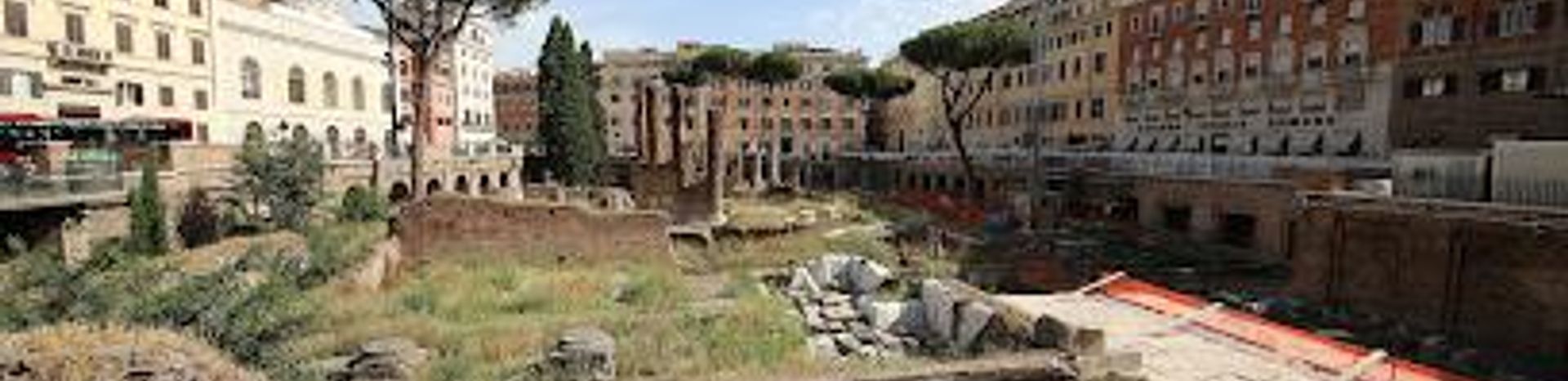 A Hidden Gem of Compassion: The Feral Feline Colonies at Torre