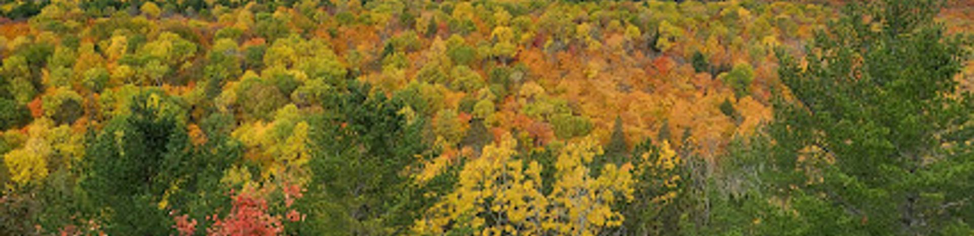 Breathtaking Vistas at The Cliff Top Scenic Lookout