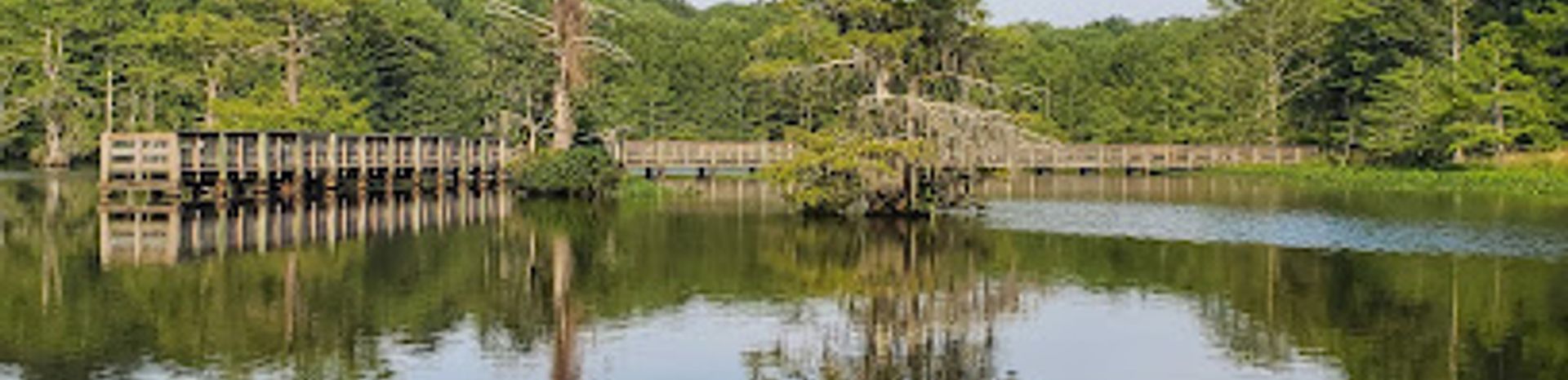 Discover the Natural Beauty of Chicot State Park